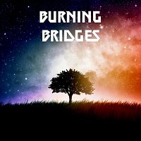 Přední strana obalu CD Burning Bridges