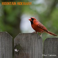 Blue Cadenza – Mountain Hideaway