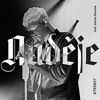 STEIN27 – Naděje (feat. Václav Rouček)
