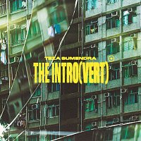 Teza Sumendra – The Intro(vert)