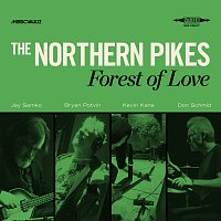 The Northern Pikes – King In His Castle