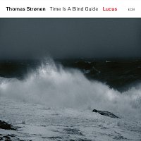 Thomas Stronen, Time Is A Blind Guide – Lucus