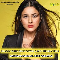 Sadhana Sargam, Udit Narayan – Chand Taron Mein Nazar Aaye Chehra Tera