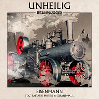 Unheilig, Saltatio Mortis, Schandmaul – Eisenmann [MTV Unplugged]