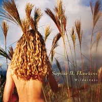Sophie B. Hawkins – Wilderness
