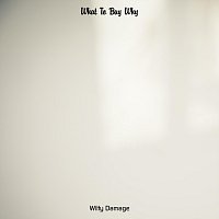 Witty Damage – What to Buy Why