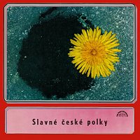 Přední strana obalu CD Slavné české polky
