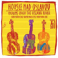 Stano Palúch, Kacper Malisz, Ryan Young – Housle nad Oslavou