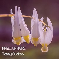 Tommy Cuckoo – Angel on a Wire