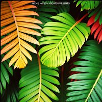 Rico – Cha Cha Cah