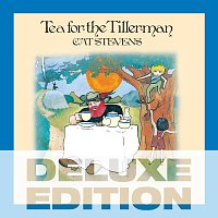 Přední strana obalu CD Tea for the Tillerman