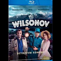 Různí interpreti – Wilsonov Blu-ray