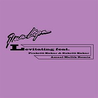 Dua Lipa – Levitating (feat. Prakriti Kakar & Sukriti Kakar) [Amaal Mallik Remix]