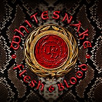 Whitesnake – Trouble Is Your Middle Name