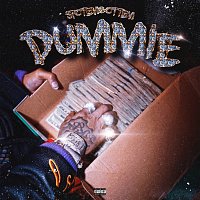 SpotemGottem – Dummie