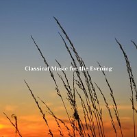 Chris Snelling, Robyn Goodall, James Shanon, Jonathan Sarlat, Nils Hahn – Classical Music for the Evening