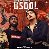 Dhanda Nyoliwala – Usool [Slowed + Reverb]