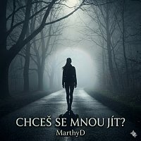 Přední strana obalu CD Chceš se mnou jít?