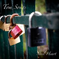 Přední strana obalu CD Steel Heart