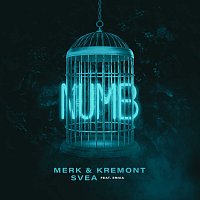 Merk & Kremont, SVEA, Ernia – Numb