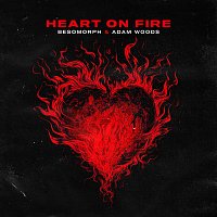 Besomorph, Adam Woods – Heart On Fire