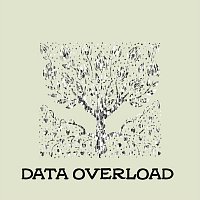 David Martin – Data Overload