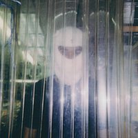 dj gummy bear – Seraphim