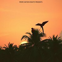Rico – Sunshine Melodies