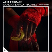 Přední strana obalu CD Sangat Sangat Boxing