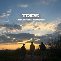 VibeM, Ve$, Panto537 – Trips