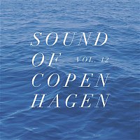 Various  Artists – Sound Of Copenhagen Vol. 12