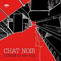 Chat Noir – Difficult to see you