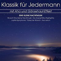 Přední strana obalu CD Klassik fur Jedermann: Eine Kleine Nachtmusik