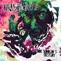 Přední strana obalu CD Don Xoolio's Destiny