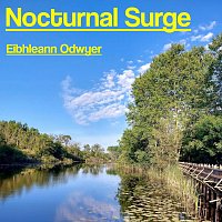 Přední strana obalu CD Nocturnal Surge