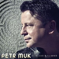 Petr Muk – V bludišti dnů