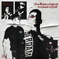 Raul Ws – De la fripturi la ?pritzuri, de la salate la plicuri