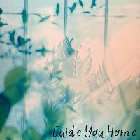 Přední strana obalu CD Guide You Home
