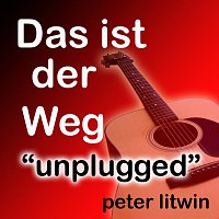 Peter Litwin – Das ist der Weg-unplugged
