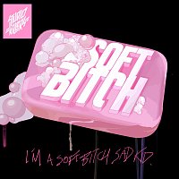 Studio Killers, Ally Ahern – Soft Bitch