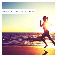 Různí interpreti – Running Playlist 2016