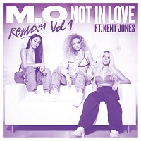 Not In Love [Remixes Vol. 1]