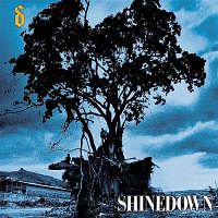 Shinedown – Simple Man