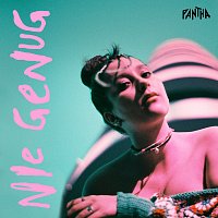 PANTHA – Nie genug