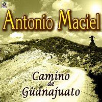 Přední strana obalu CD Camino de Guanajuato