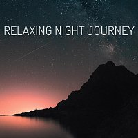 Friends of Pieace – Relaxing Night Journey