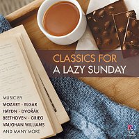 Různí interpreti – Classics For A Lazy Sunday