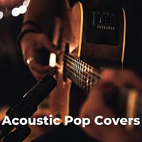 Různí interpreti – Acoustic Pop Covers