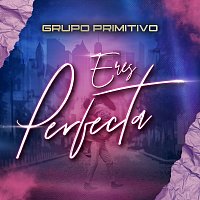 Grupo Primitivo – Eres Perfecta