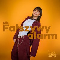 Elis – Fałszywy Alarm
